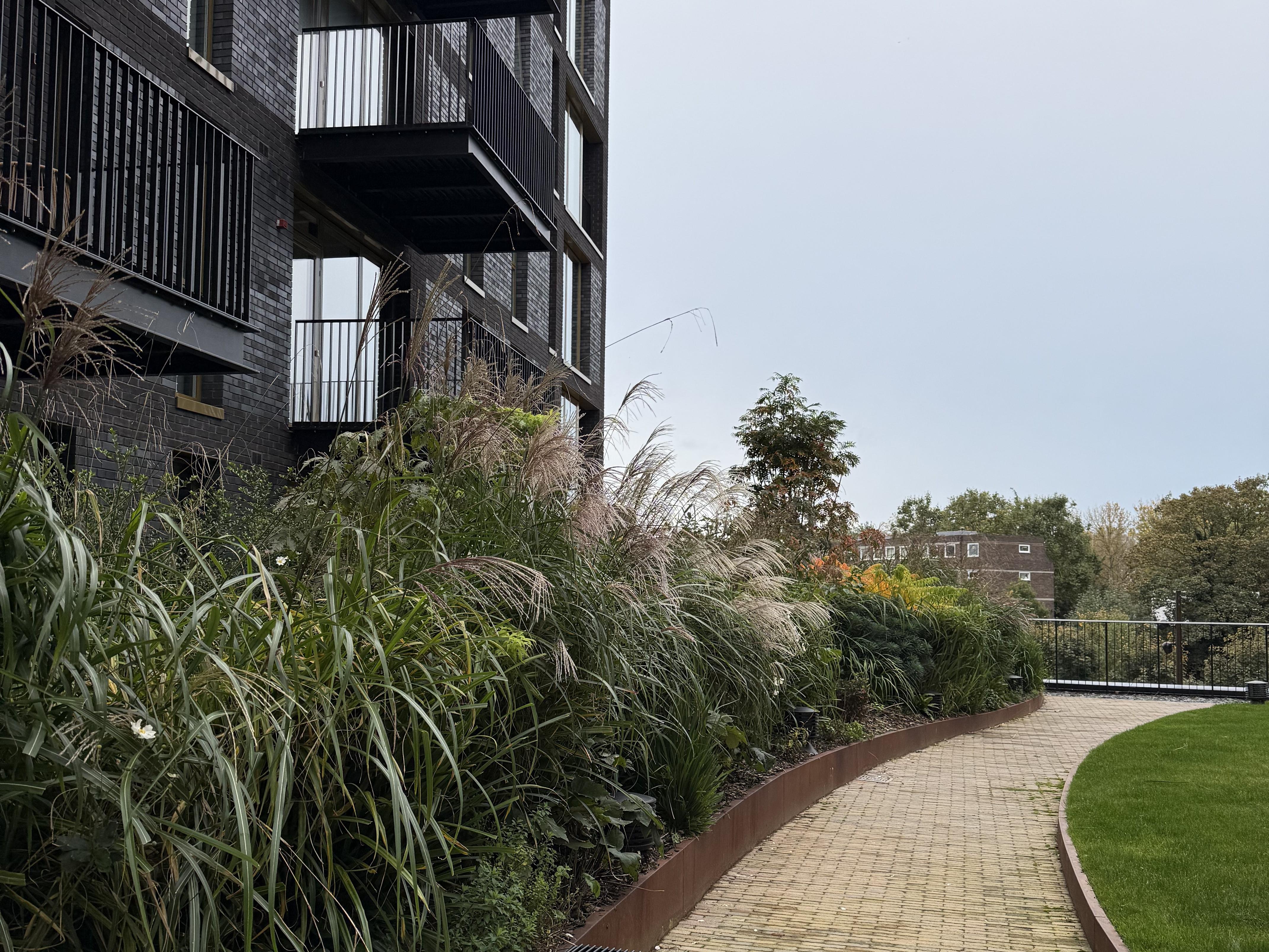 UK Housing Market: The Economics of Buying vs. Renting and the Challenges