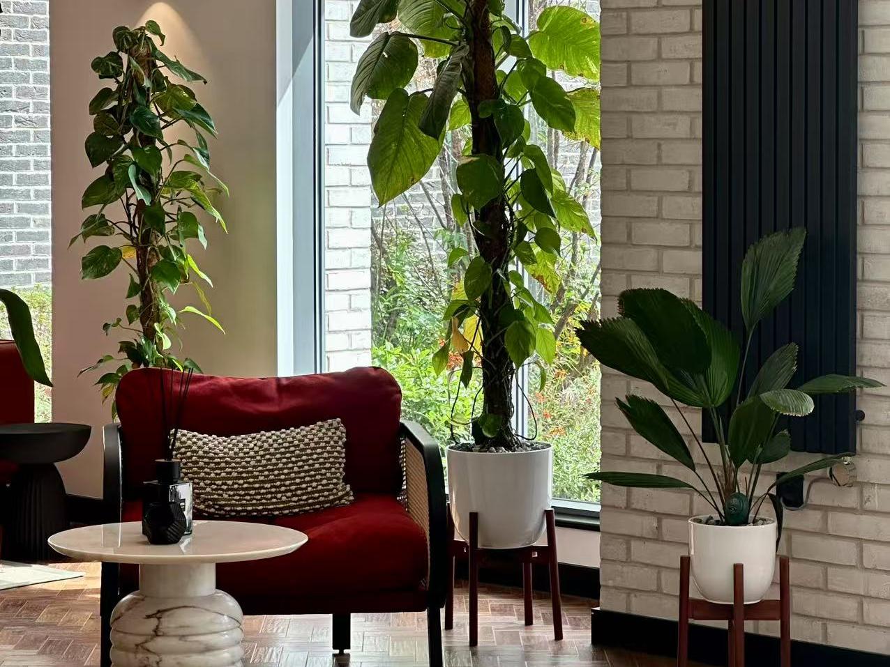 做屋主也要警惕「熟人作案」，租客背景調查做起來！