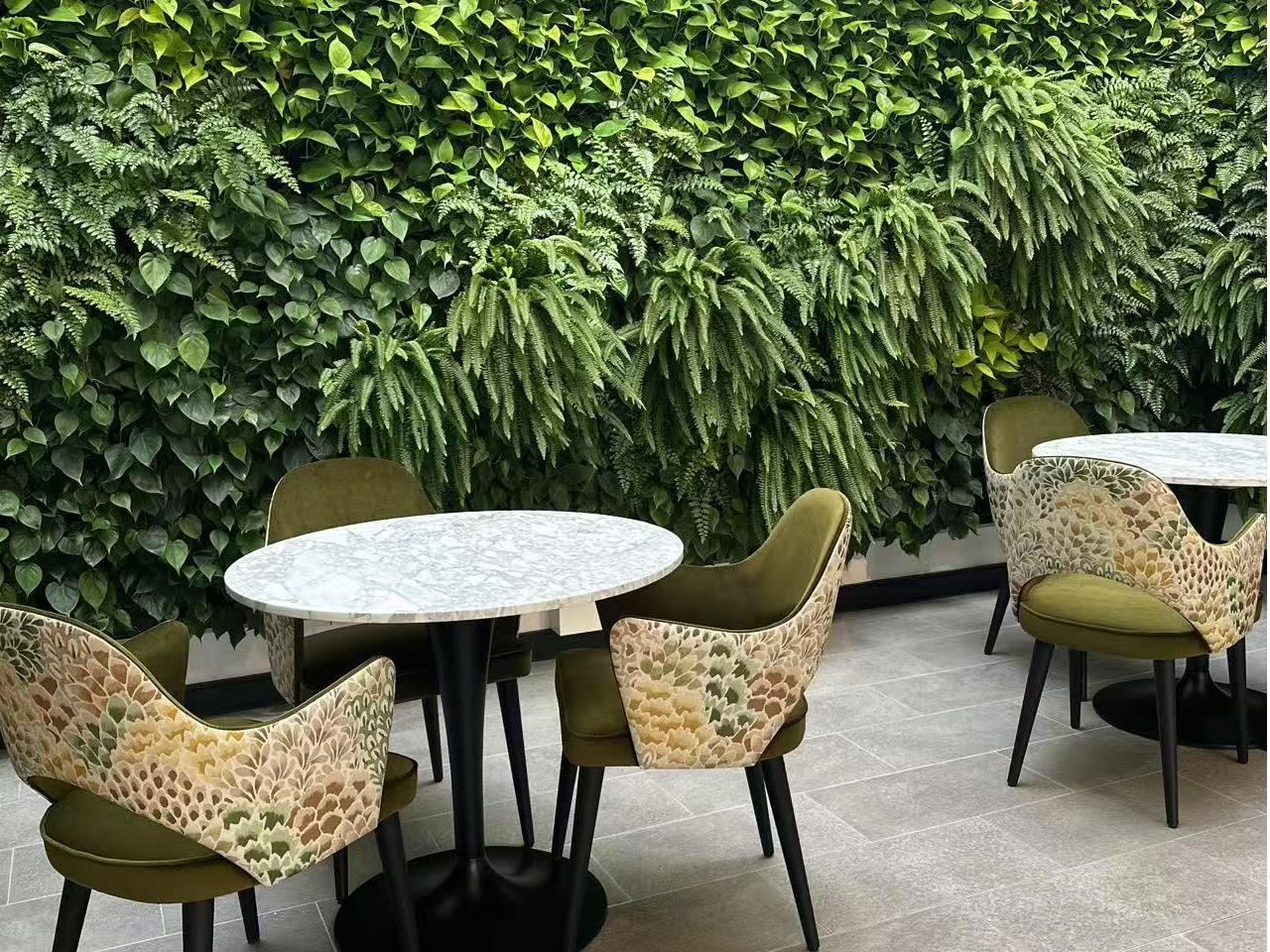 藍莎集團 | 國際置產一站式服務