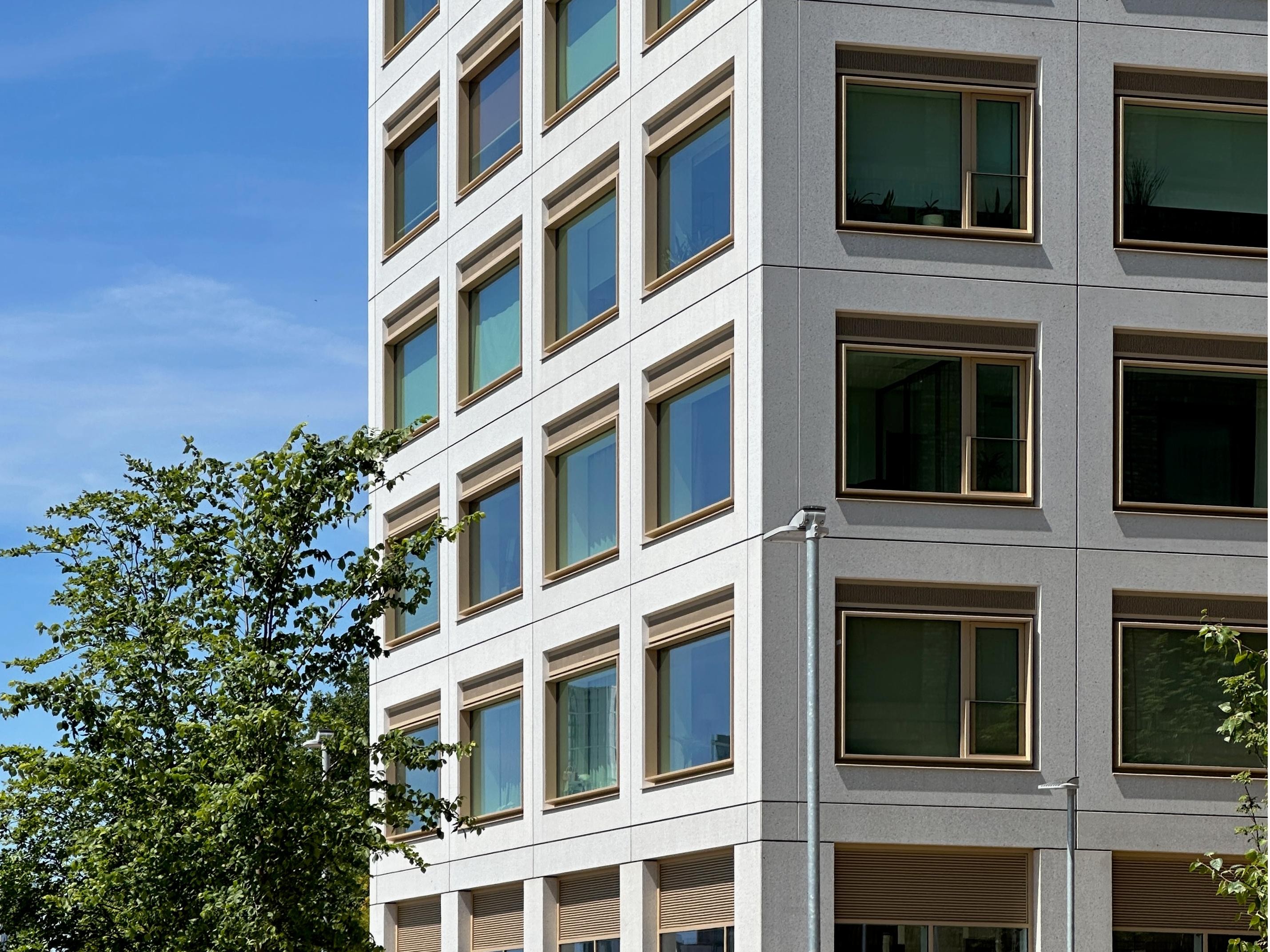 Modern commercial real estate building with large glass windows and a leafy green tree.