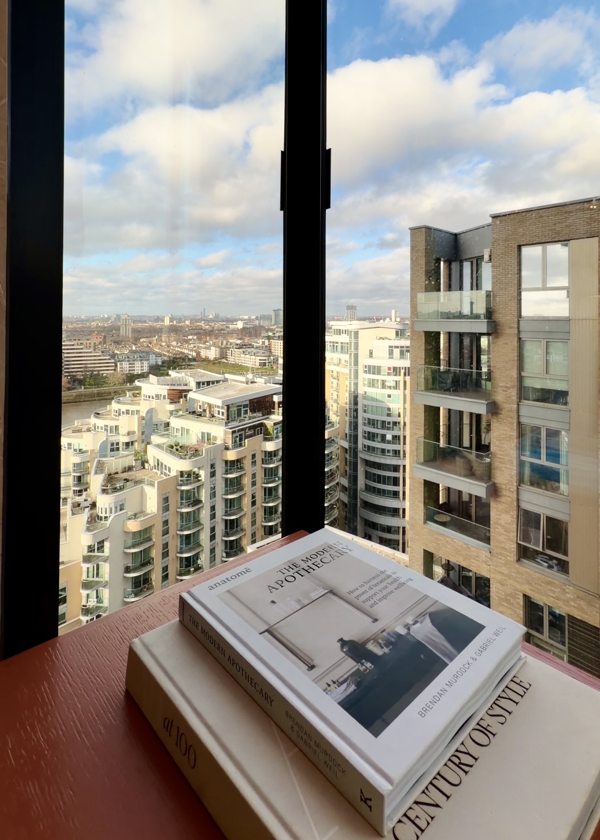 伦敦·巴特西水岸 The HiLight 找房实拍