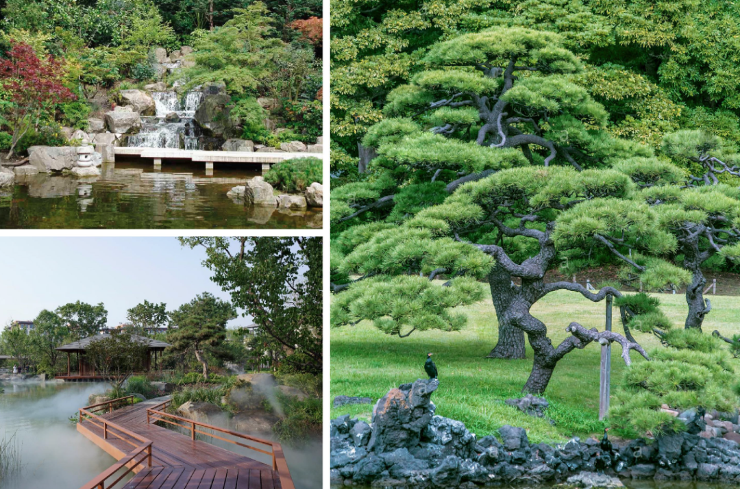 藍莎集團 - 英國樓盤、英國物業代理 | 英國買樓置業一站式服務