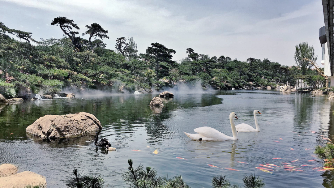 藍莎集團 - 英國樓盤、英國物業代理 | 英國買樓置業一站式服務