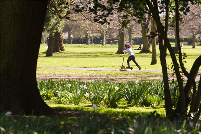 伦敦·The Warwick 配套