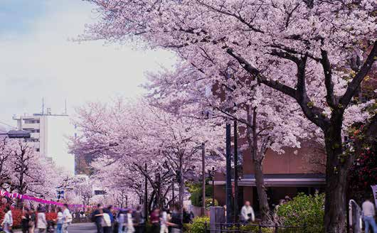 藍莎集團 - 英國樓盤、英國物業代理 | 英國買樓置業一站式服務
