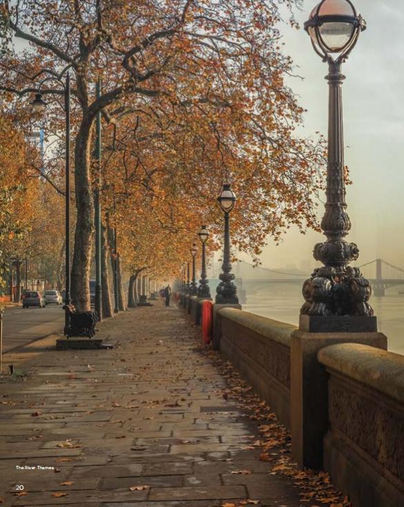 伦敦·西敏园 Chimes 周边环境