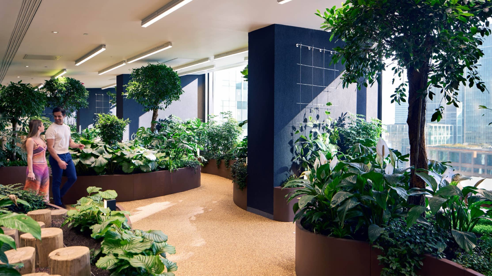 藍莎集團 | 英國置產一站式服務