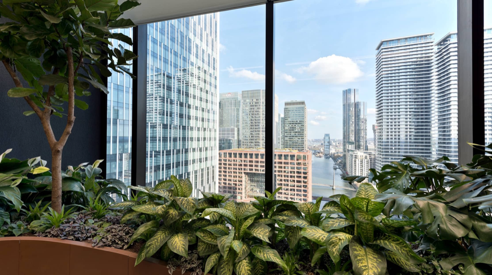 藍莎集團 | 英國置產一站式服務