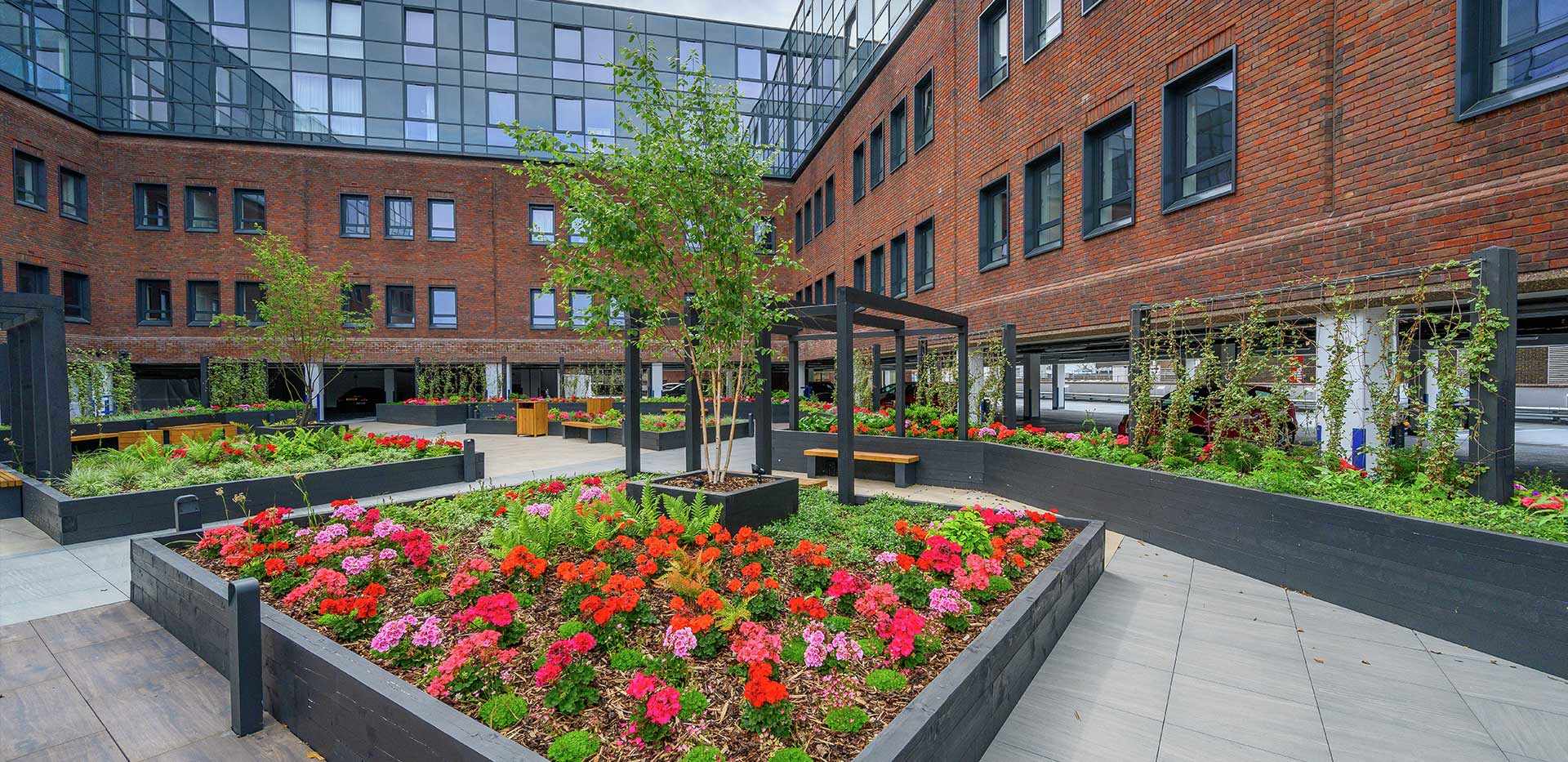 萨里·光明之家 Lumina 外立面