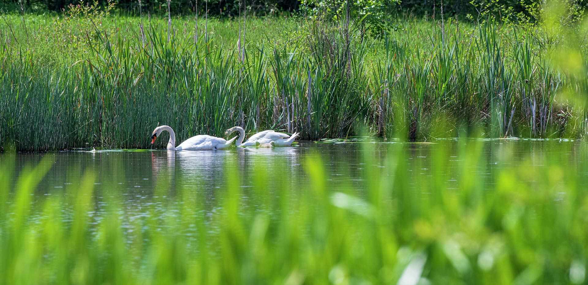 藍莎集團 - 英國樓盤、英國物業代理 | 英國買樓置業一站式服務