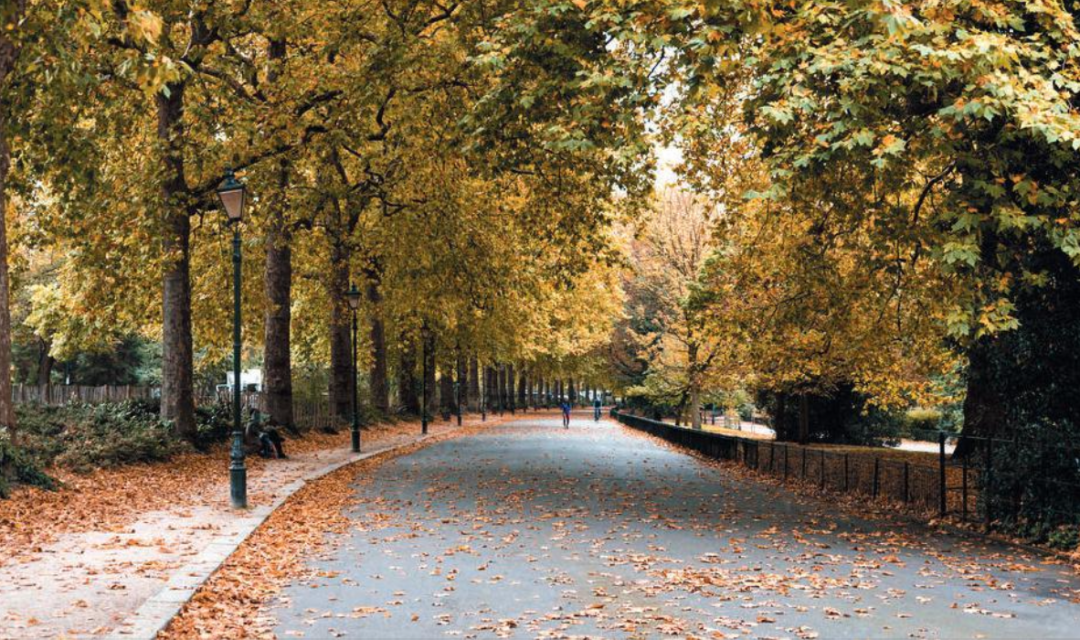 藍莎集團 | 英國置產一站式服務