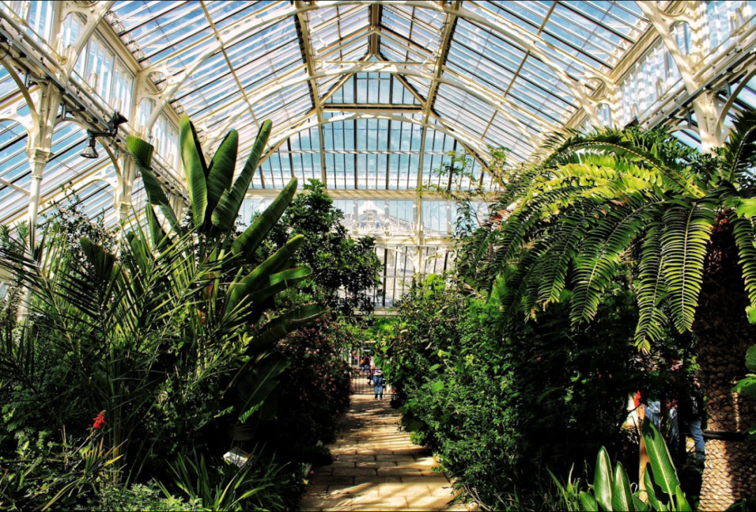 藍莎集團 | 英國置產一站式服務