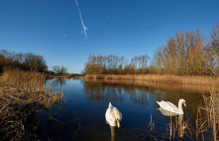 Lansha Group - UK Real Estate, UK Property Agency | One stop shop for buying and purchasing properties in the UK