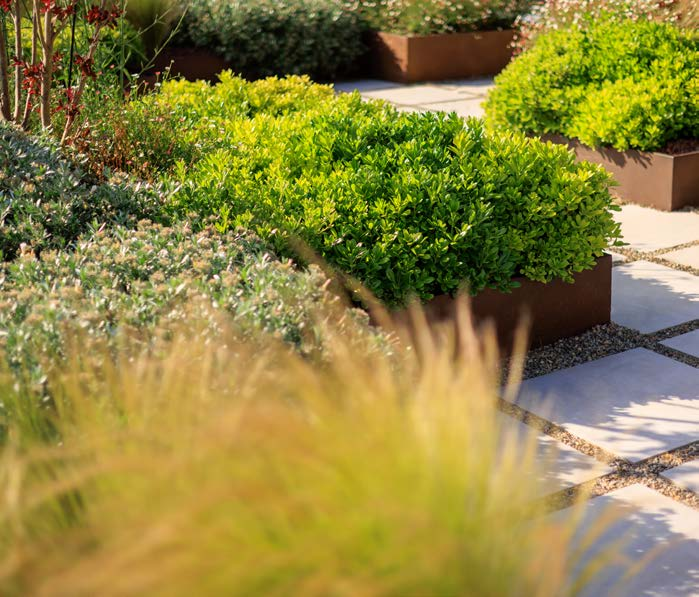 伦敦·Old York Mews 配套