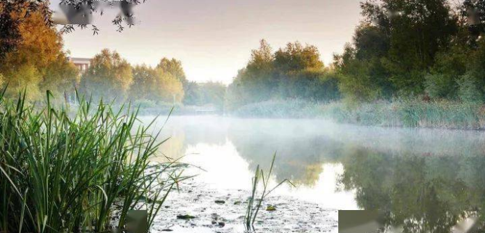 Lansha Group - UK Real Estate, UK Property Agency | One stop shop for buying and purchasing properties in the UK