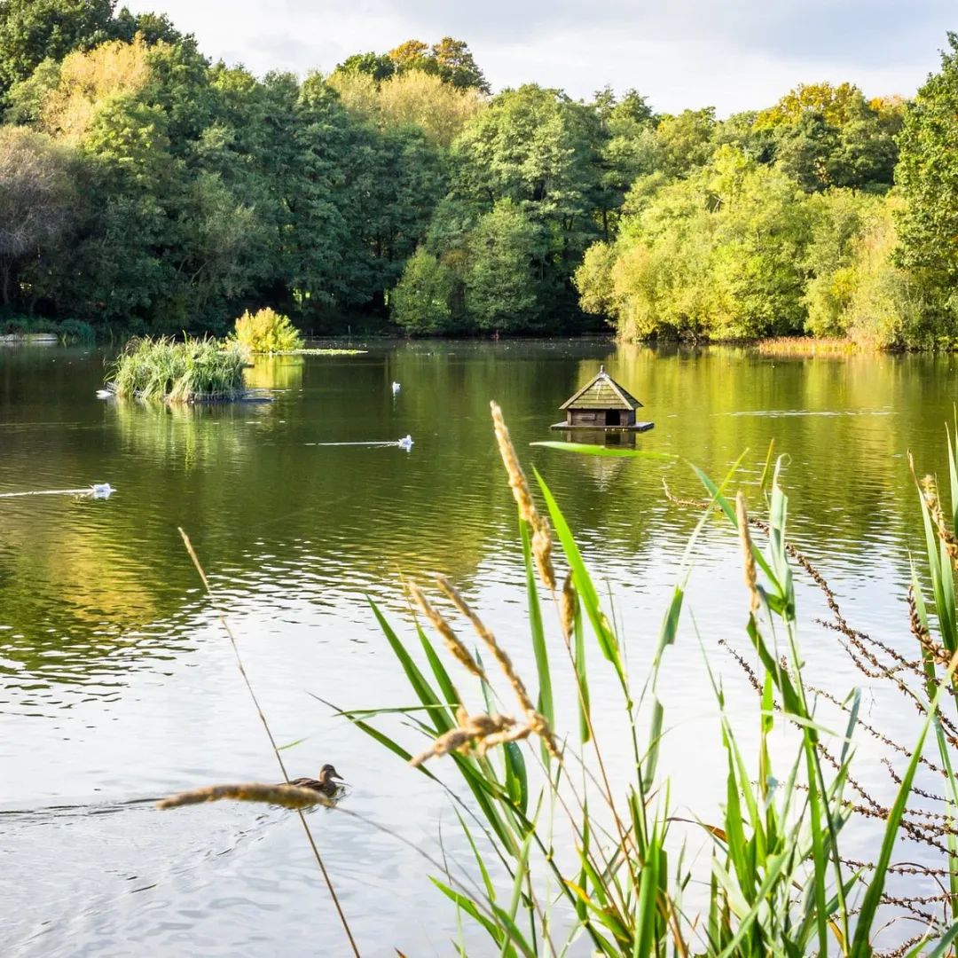 藍莎集團 | 英國置產一站式服務