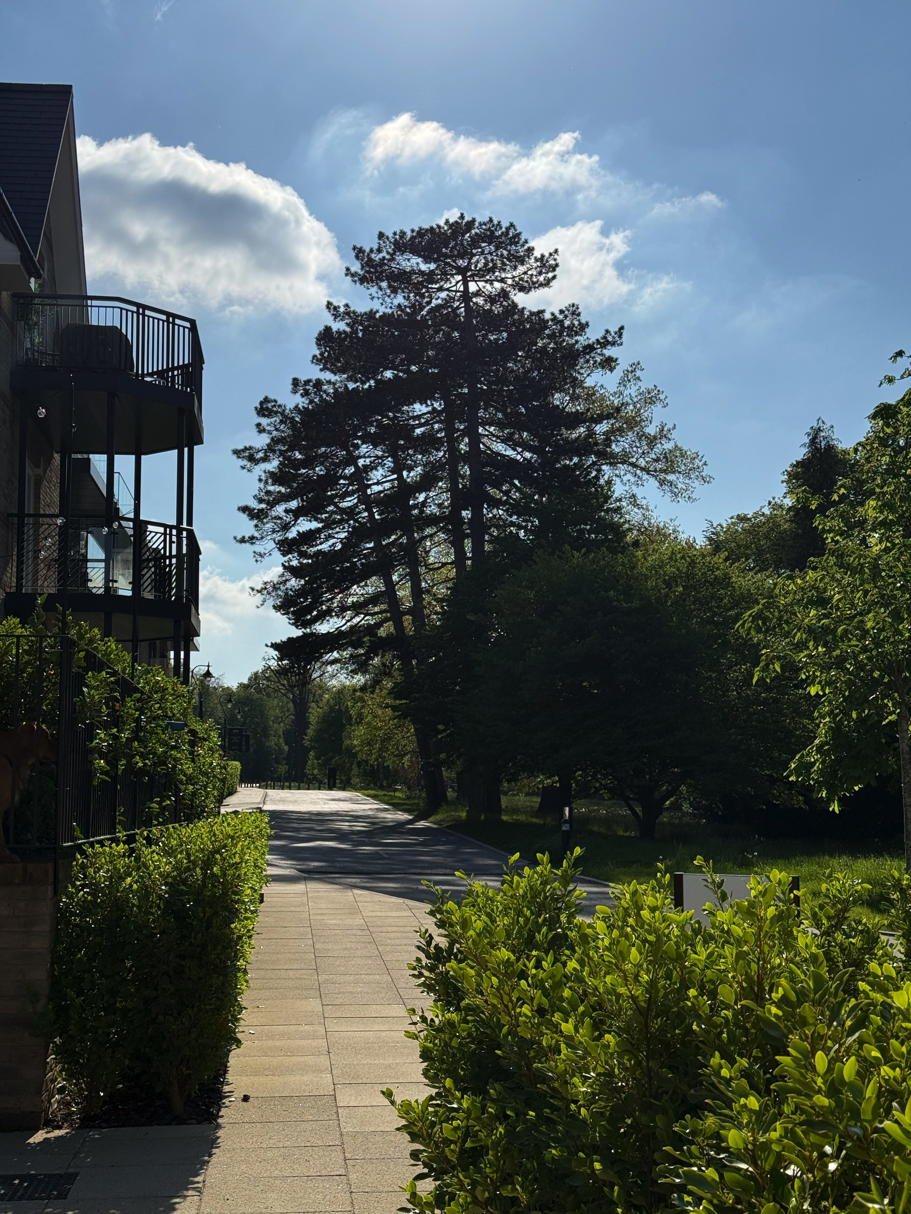 伦敦·特伦特别墅 Trent Park 找房实拍