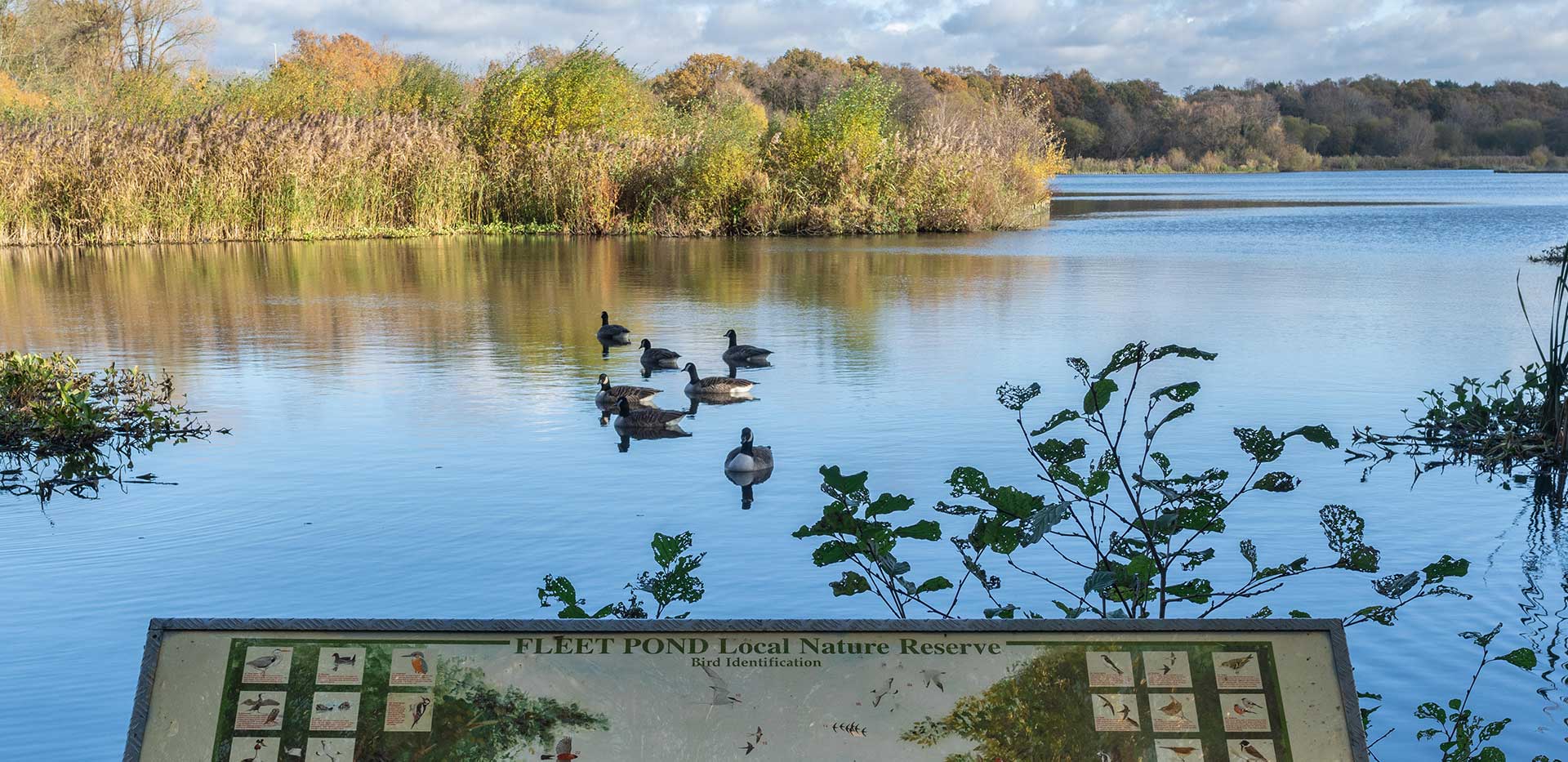 藍莎集團 - 英國樓盤、英國物業代理 | 英國買樓置業一站式服務