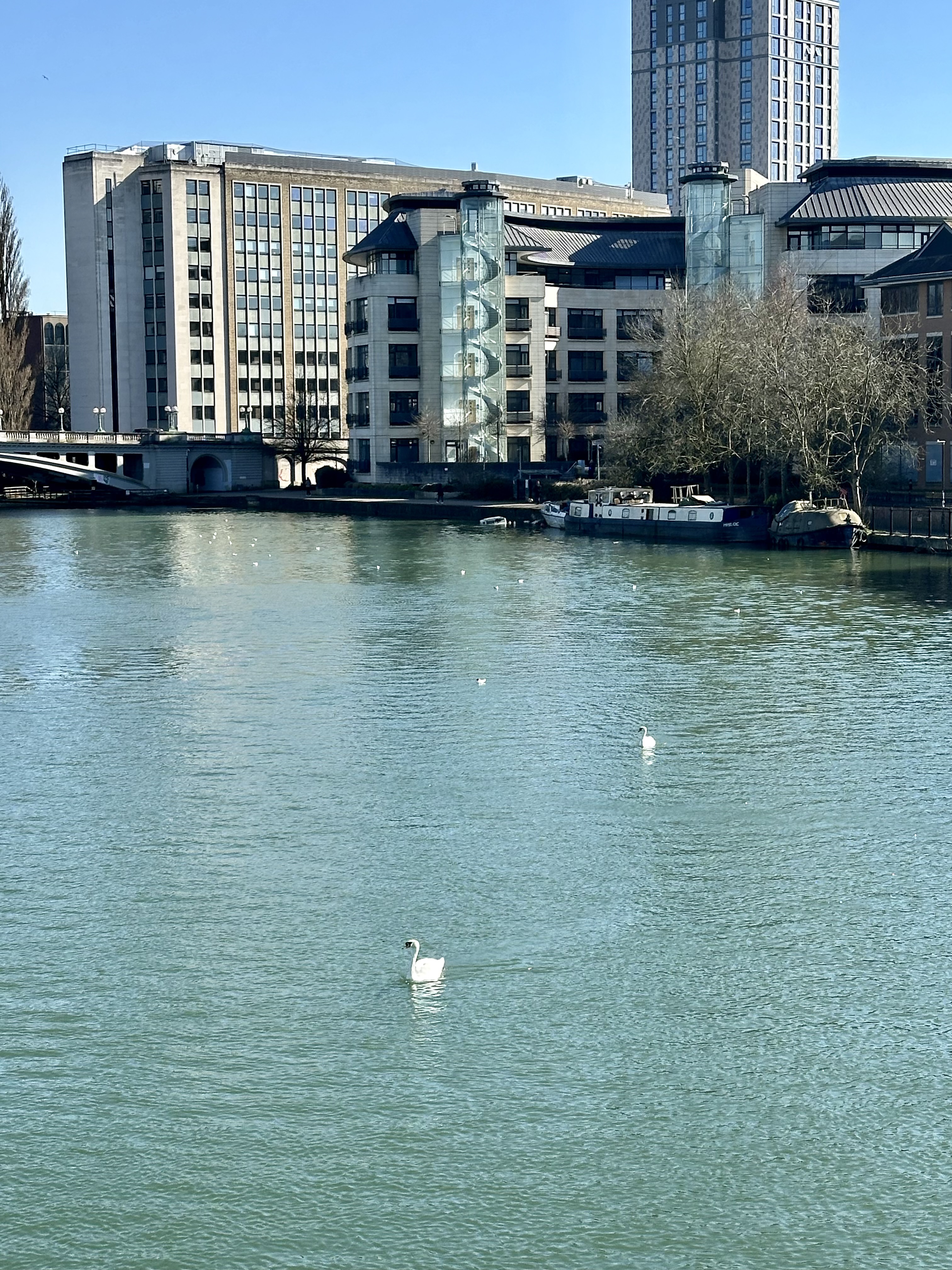 雷丁·Reading Riverworks 找房实拍