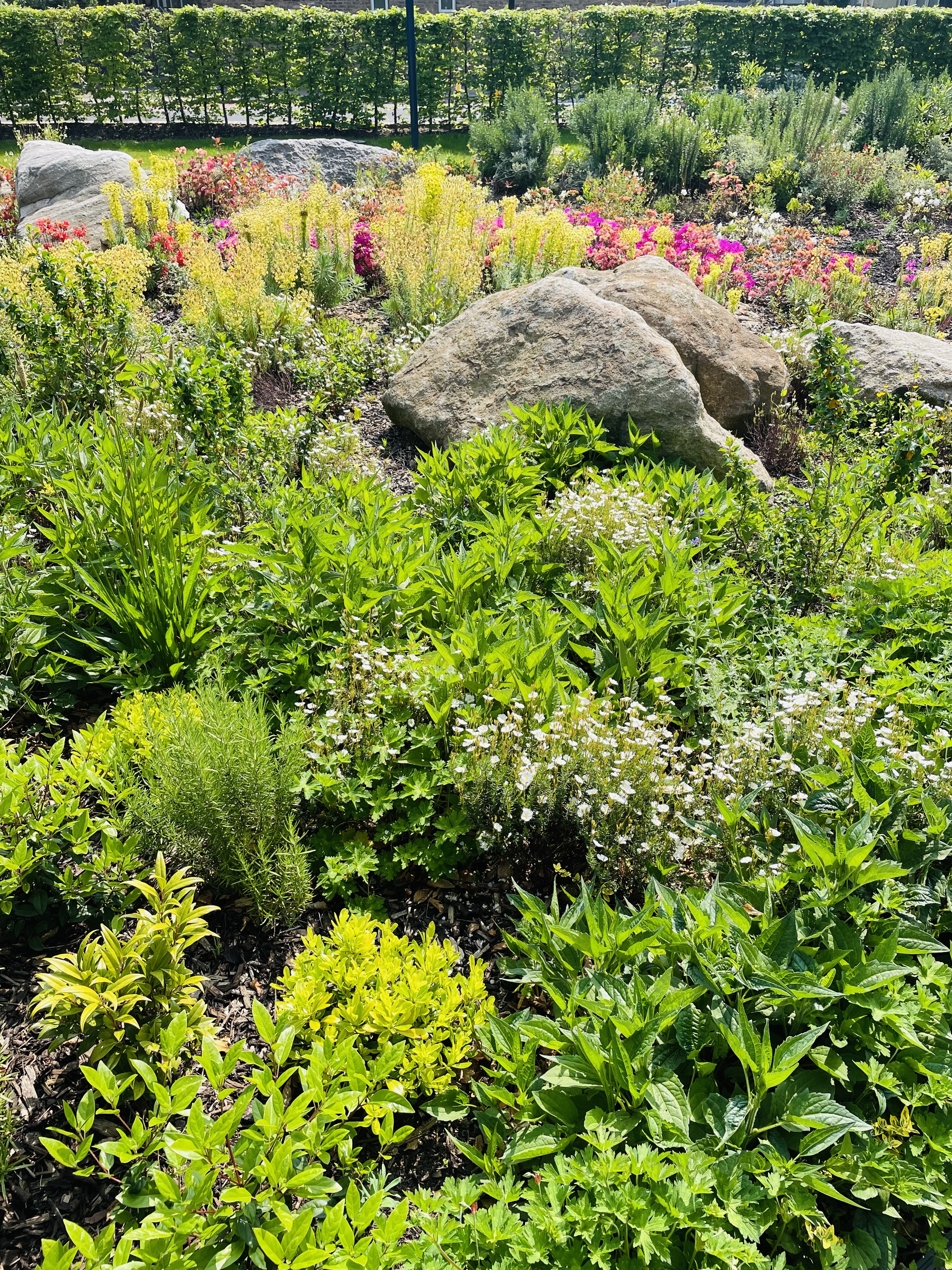 藍莎集團 | 英國置產一站式服務