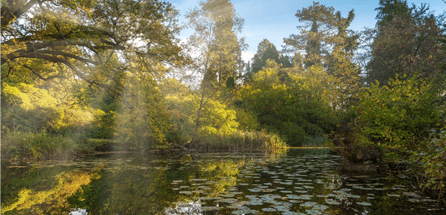 藍莎集團 - 英國樓盤、英國物業代理 | 英國買樓置業一站式服務