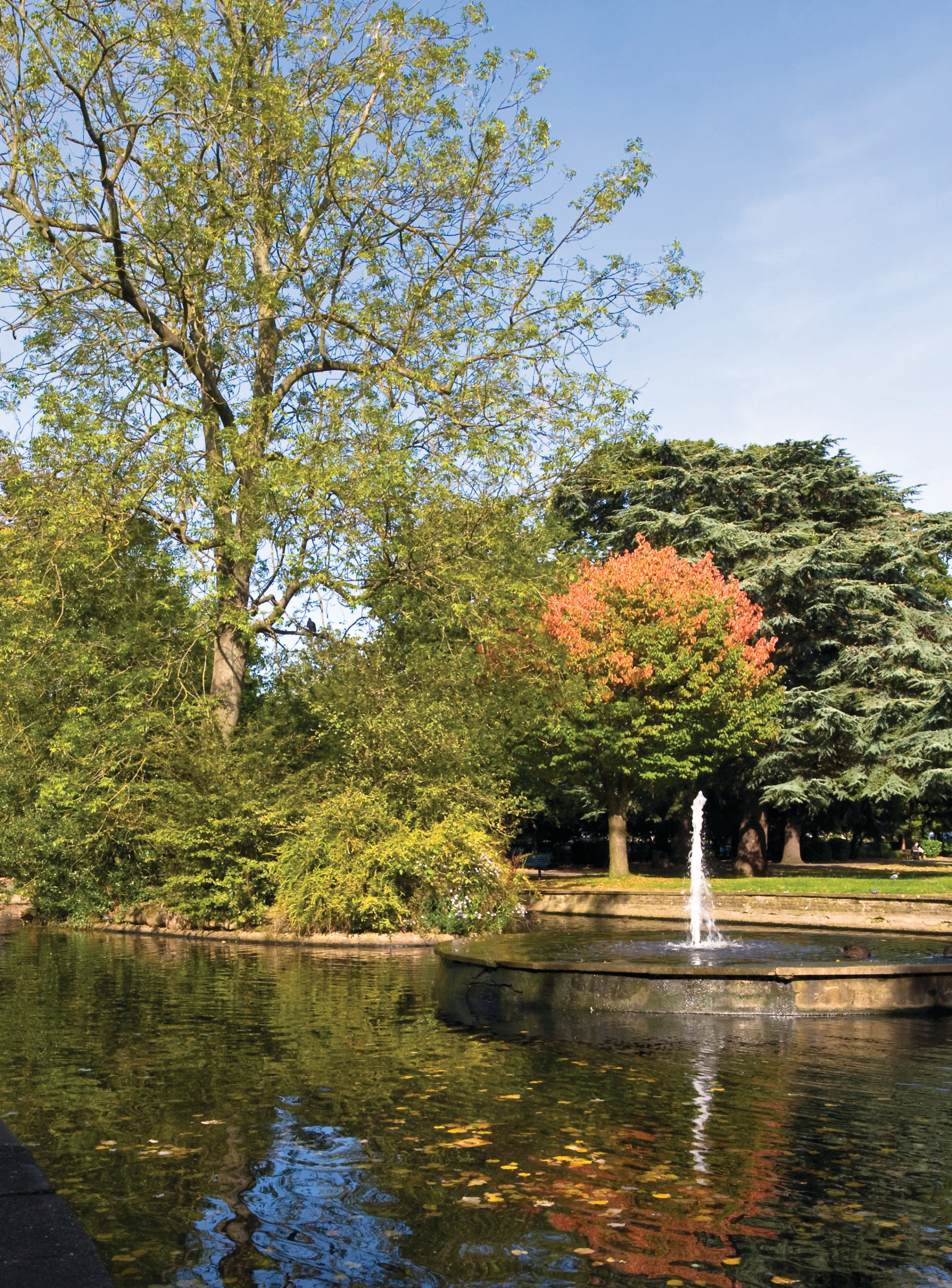 伦敦·Queens Mews 配套