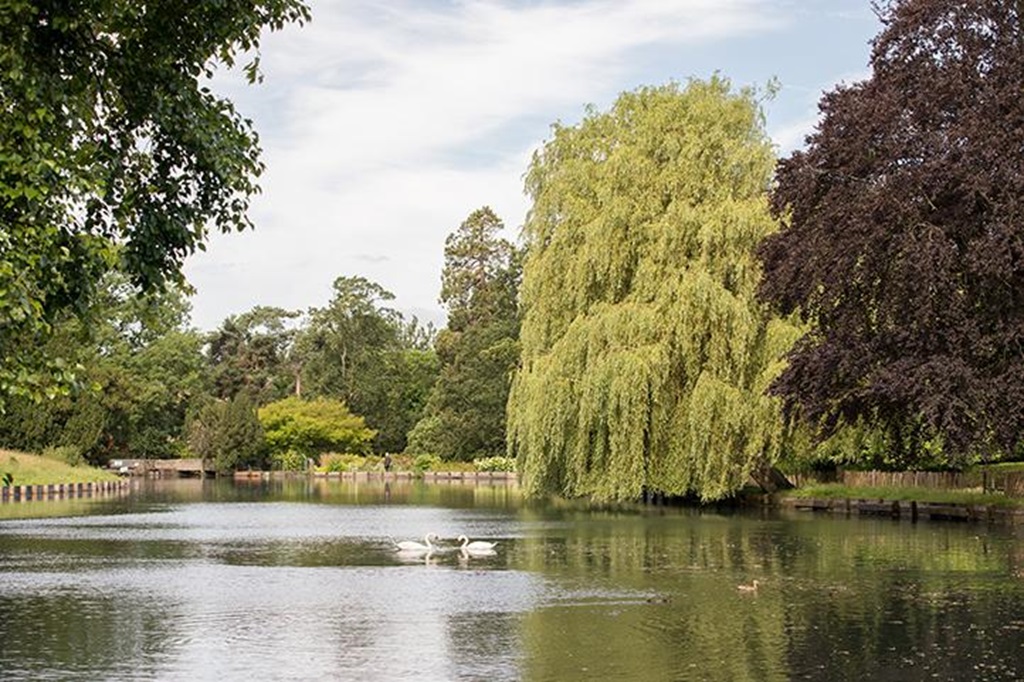 藍莎集團 | 英國置產一站式服務