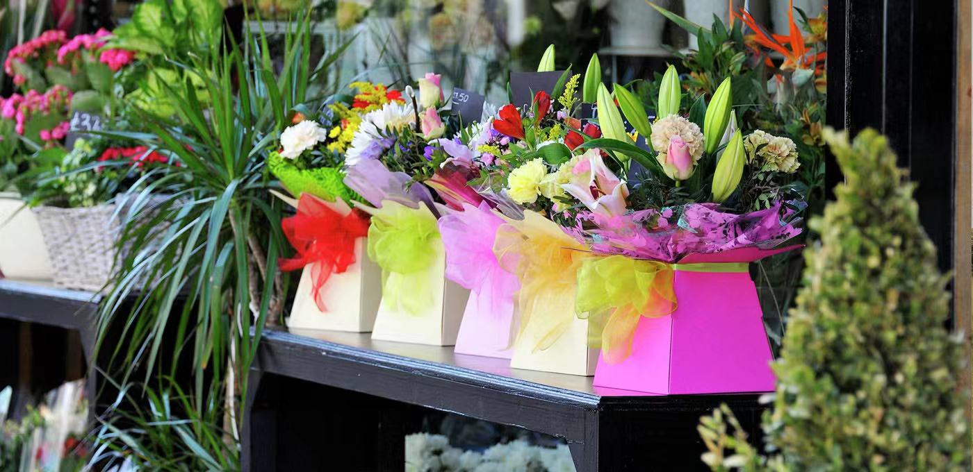 藍莎集團 | 英國置產一站式服務