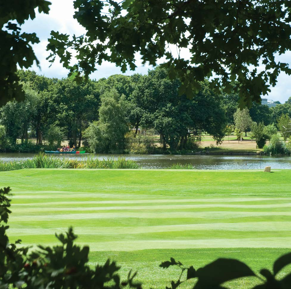 伦敦·Thornton Heights 配套