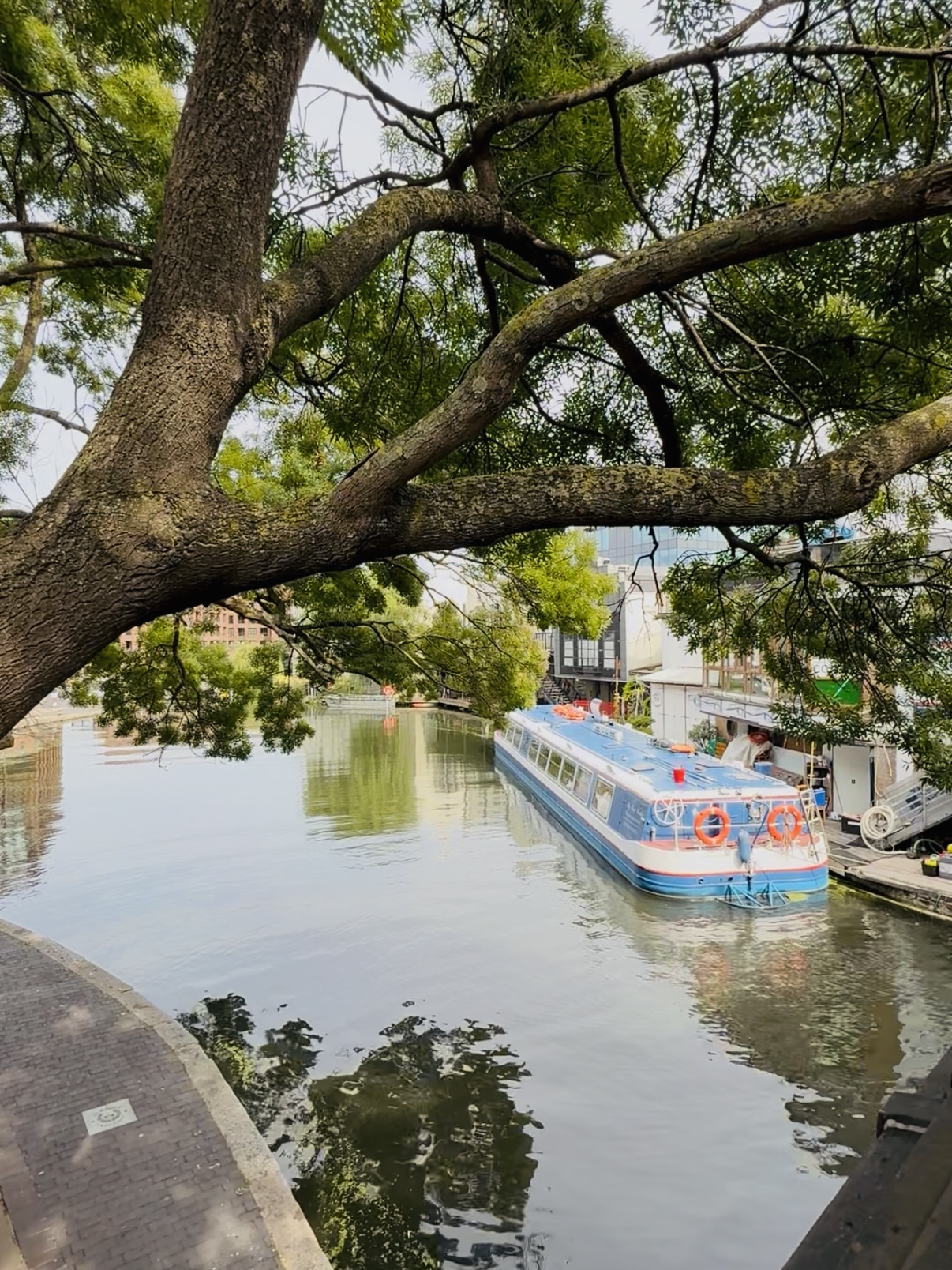 伦敦·摄政公馆  The Regent 找房实拍